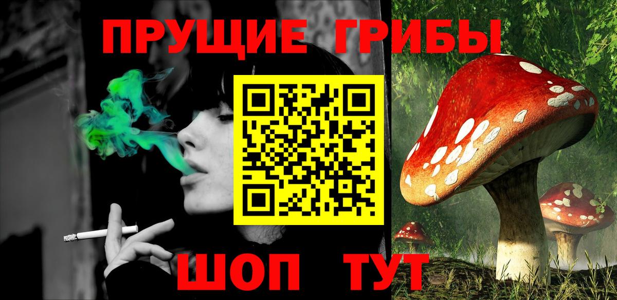 A PVP Менделеевск